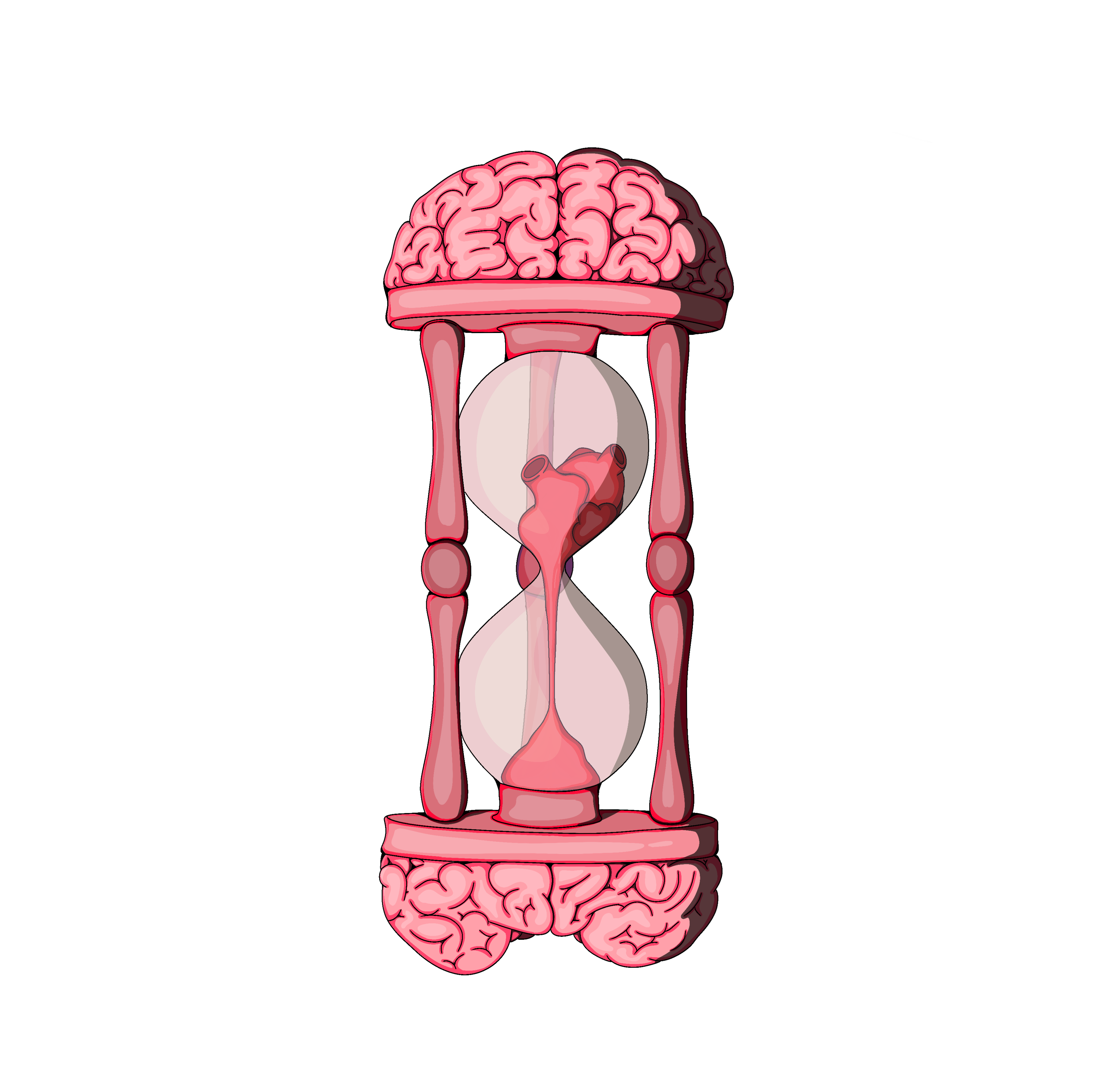 Ilustración SRRAMON